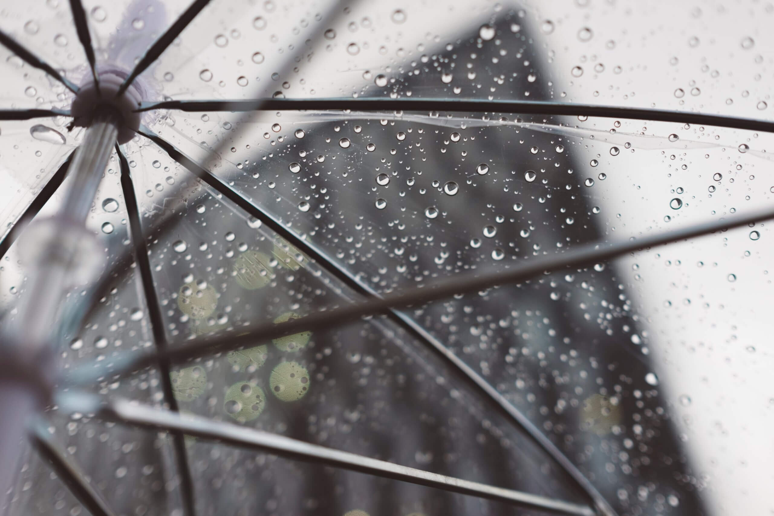 Commercial Umbrella Insurance in Doral, FL